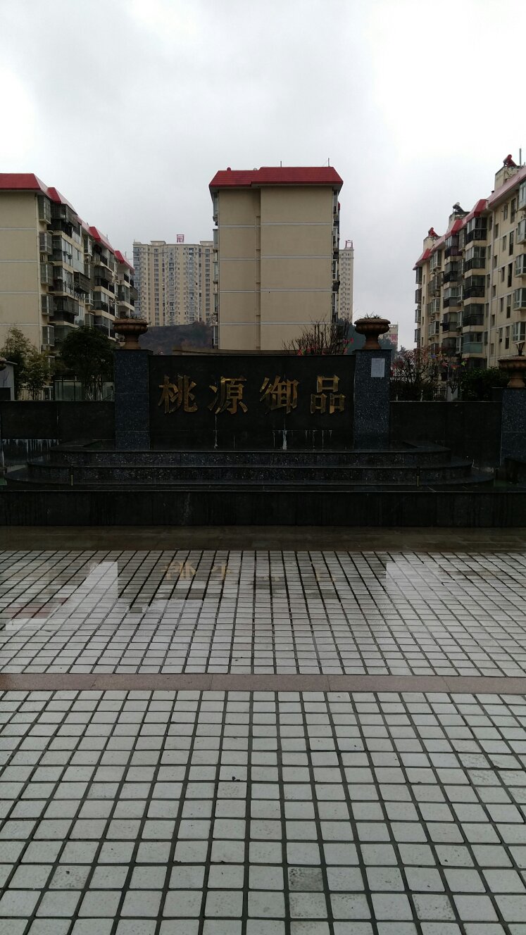 mmexport1483672830487.jpg